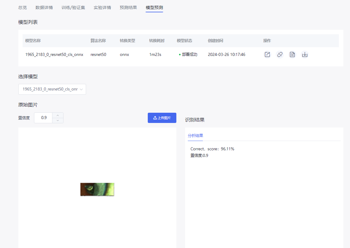 ../../_images/infer_cls.png